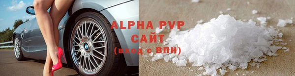 ПСИЛОЦИБИНОВЫЕ ГРИБЫ Бородино