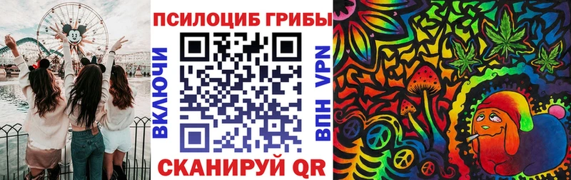 где купить наркотик  Железноводск  дарк нет официальный сайт  Псилоцибиновые грибы Psilocybe 